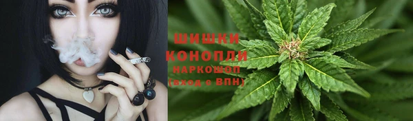 сатива Баксан