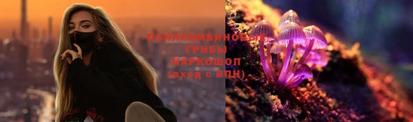 сатива Баксан