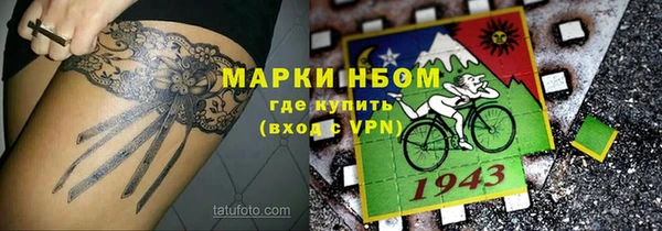 сатива Баксан