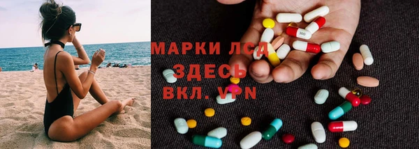 сатива Баксан