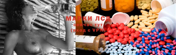 сатива Баксан