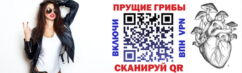 Галлюциногенные грибы Cubensis  mega как зайти  Шимановск  даркнет сайт 